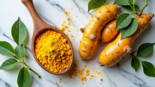 Antioxidants for Everyday Cellular Health: A Simple, No-Hype Guide