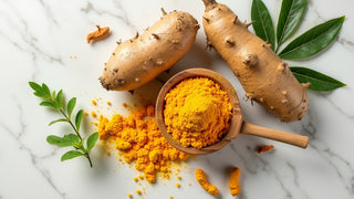 What Is Curcumin Plus? A Plain-English Guide to Vidafy's Daily Curcumin Supplement