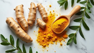 Turmeric and Curcumin for Everyday Wellness: A Plain-English Guide