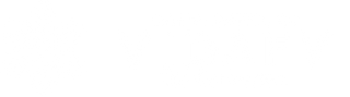 Vidafy Logo